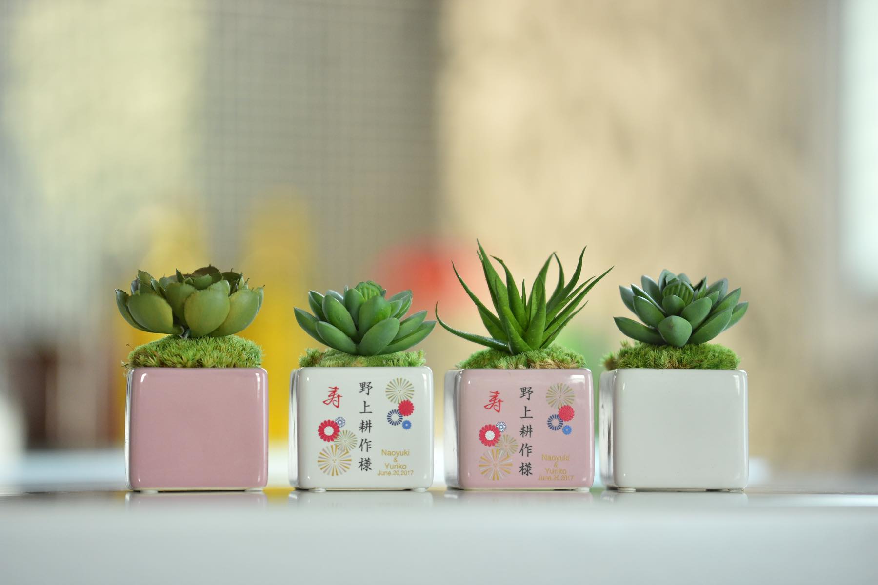 席札 多肉植物 花のギフト社ギフトスリー オリジナルギフト通販 席札 多肉植物 花のギフト社ギフトスリー オリジナルギフト通販