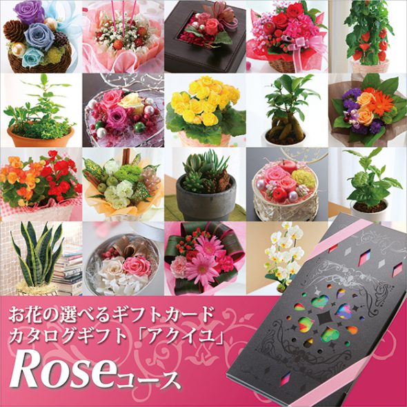 カタログ アクイユ 花のギフト社ギフトスリー オリジナルギフト通販
